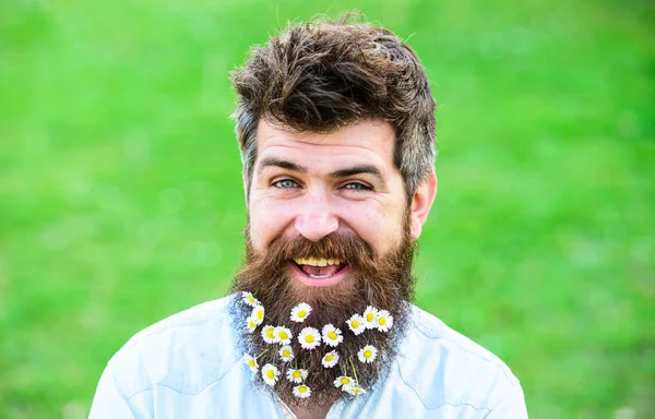 İle adam sakal ve bıyık zevk bahar, yeşil çayır arka plan. Erkeklik kavramı. Hippi mutlu gülümseyen yüzü, yeşil arka plan üzerinde kopya alanı. Sakal papatya veya papatya çiçekleri ile adam