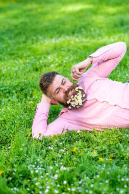 Flört kavramı. Papatyalar sakal içinde buket adamla bıyık katlanmış. Mutlu yüz sakallı doğa keyfini çıkarın. Daisy çiçeklerle sakalı sakallı adam çayır üzerinde yatıyordu, yandan yalın, arka plan çimen