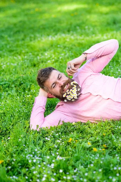 Flirt concept. Guy with bouquet of daisies in beard twists mustache. Man with beard on happy face enjoy nature. Bearded man with daisy flowers in beard lay on meadow, lean on hand, grass background — Stock Photo, Image