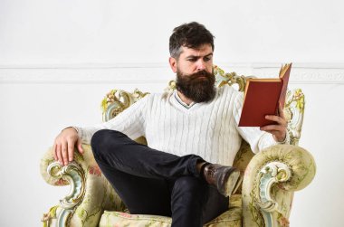 Akıllı kavramı. Bilim adamı, Profesör dalgın yüzündeki edebiyat sahiptir. Sakallı ve bıyıklı kitap ile boş zaman harcıyor. Koltuk ve okuma kitabı, beyaz duvar zemin üzerine öğretim görevlisi akıllı sit