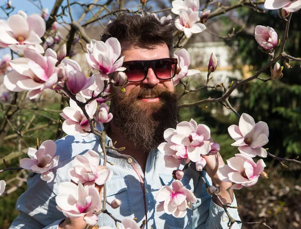 Brutal macho smiling near tender flowers on sunny day. Man with beard and mustache wears sunglasses, magnolia flowers background. Hipster with fashionable sunglasses. — Stock Photo, Image