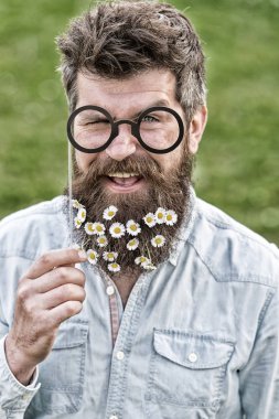 Uzun sakalını parti aksesuarları üzerinden kağıt gözlük tutan küçük beyaz çiçeklerle mutlu hipster ayarlayın. Gülümseyen adam yeşil çayır, Bahar Tazeliği kavramı sıcak güneşli gün zevk