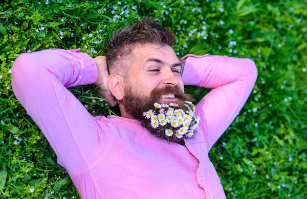 Homem com barba no rosto sorridente desfrutar da natureza. Unir-se com o conceito de natureza. Homem barbudo com flores de margarida jazia no gramado, fundo de grama. Hipster com buquê de margaridas em barba relaxante — Fotografia de Stock