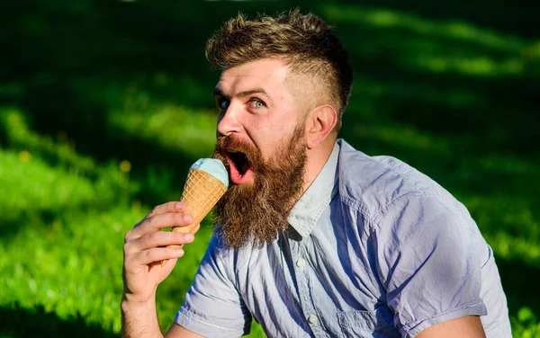 Homem com barba longa desfrutar de sorvete, enquanto se senta na grama. Homem barbudo com cone de gelado. Homem com barba e bigode no rosto animado come sorvete, grama no fundo, desfocado. Conceito de delicadeza — Fotografia de Stock