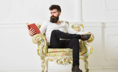 Koltuk sakal ve bıyık oturur ve okurken, beyaz duvar arka planı olan adam. Edebiyat kavramı uzman. Maço kitap ile boş zaman harcıyor. Uzman, ciddi yüz zevk edebiyat