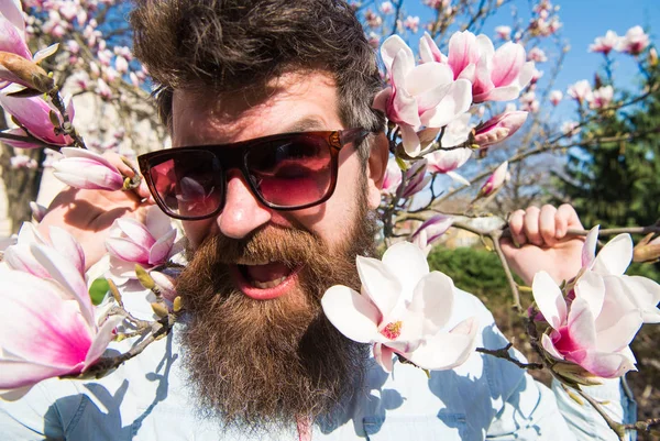 Guy looks cool with stylish sunglasses. Man with beard and mustache wears sunglasses on sunny day, magnolia flowers on background. Hipster happy with fashionable sunglasses. Springtime concept — Stock Photo, Image