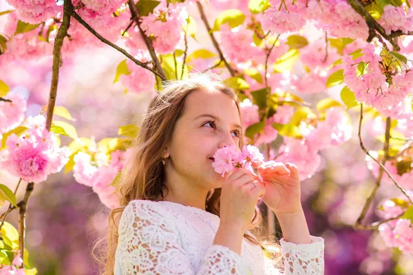 Aranyos gyermek élvezze Sakura illat a tavasz. Lány a mosolygó arc áll közel sakura virágokat, defocused. Édes gyermekkor fogalma. Lány hosszú haj kültéri, cherry blossom, háttér — Stock Fotó