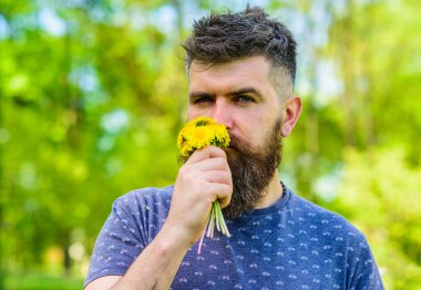Romantik hipster buket, yeşil doğa arka plan, defocused yaptı. Aroma kavramı. Sakal ve bıyık dandelions sakin yüz Koklayıcılara buket üzerinde olan adam. Sakallı adam sarı dandelions tutar