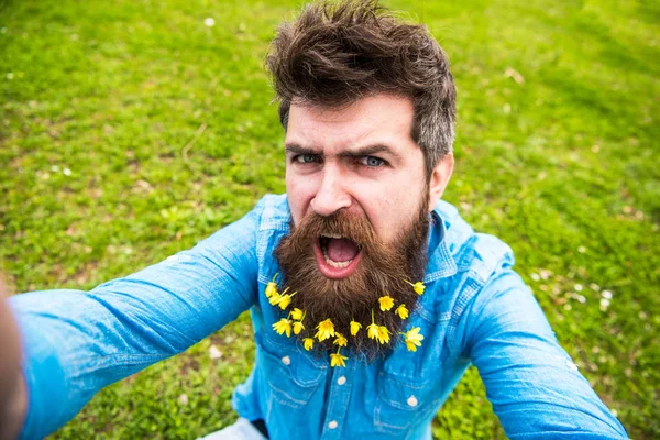 Conceito de beleza natural. Homem com barba gosta de primavera, fundo prado verde. Hipster no rosto gritando senta-se na grama, desfocado. Cara com flores menores de celandine na barba tirando foto selfie — Fotografia de Stock