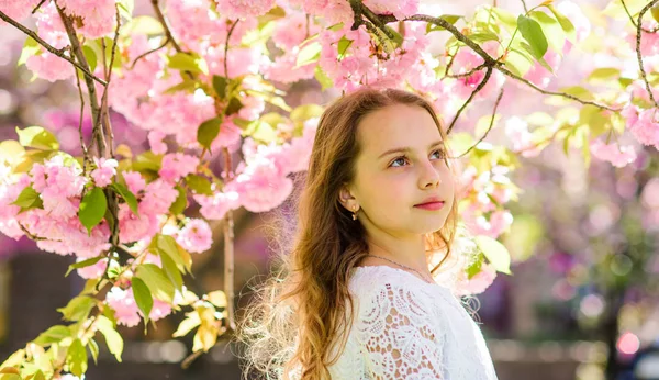 Tenderness concept. Cute child enjoy nature on spring day. Girl on dreamy face standing under sakura branches with flowers, defocused. Girl with long hair outdoor, cherry blossom on background — Stock Photo, Image