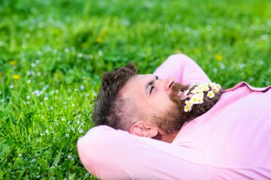 Daisy çiçeklerle sakalı sakallı adam çayır üzerinde yatıyordu, arka plan çimen. Hippi sakal rahatlatıcı papatyalar buket. Sakallı yüzü gülen üzerinde doğa keyfini çıkarın. Doğa kavramı ile birleştirmek