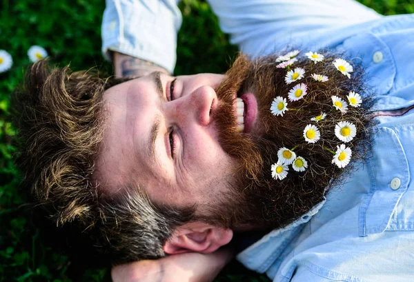 Hipster en la cara feliz se acuesta en la hierba. Concepto masculinidad. Macho con barba y bigote disfruta de primavera, fondo verde prado. El hombre se ve bien con flores de margarita o manzanilla en barba, de cerca — Foto de Stock