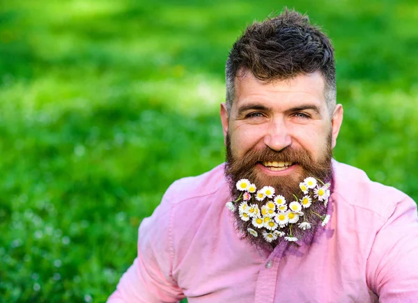 Man with beard on smiling face enjoy life without allergy. Spring allergy concept. Hipster with daisies looks happy, copy space. Bearded man with daisy flowers in beard, grass background, defocused — Stock Photo, Image