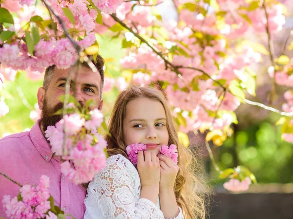 Kindheitskonzept. Mädchen mit Papa in der Nähe von Sakura-Blumen am Frühlingstag. Kind und Mann mit zartrosa Blüten im Bart. Vater und Tochter auf glücklichen Gesichtern spielen mit Blumen, Sakura Hintergrund — Stockfoto