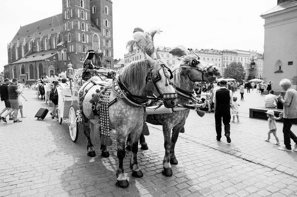 Pferdekutsche auf dem Hauptplatz der Altstadt Krakau, Polen — Stockfoto