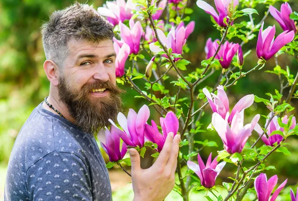 Mann med skjegg og bart på et smilende ansikt nær blomster på solskinnsdag. En skjeggete mann med ny frisyre som poserer med magnoliens blomst. Hipster liker vår nær purpurblomst. Gartnerkonseptet – stockfoto