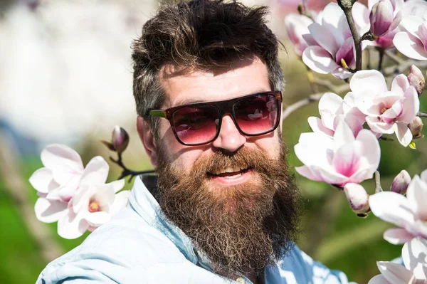 Man with beard and mustache wears sunglasses on sunny day, magnolia flowers on background. Fashion concept. Guy looks cool with stylish sunglasses. Hipster happy with fashionable sunglasses — Stock Photo, Image