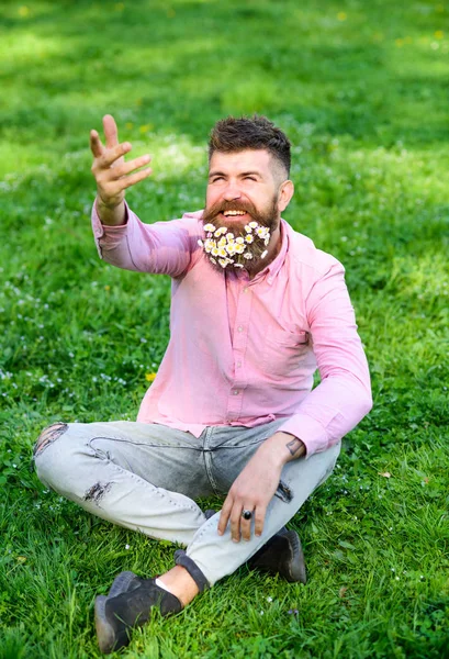 Homem barbudo com flores de margarida senta-se no gramado, fundo de grama. Hipster com margaridas parece feliz com o tempo ensolarado. Conceito de primavera. Homem com barba no rosto sorridente olha para cima contra a luz solar — Fotografia de Stock