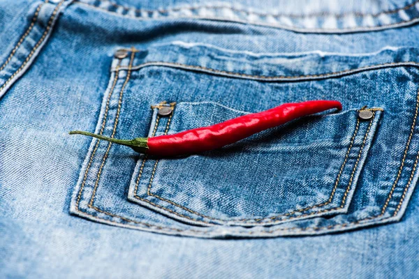 Pepper on back pocket of blue jeans. Pocket of jeans with red chilly pepper, denim background. Hot sensations concept. Piquant secret in pocket of pants, top view