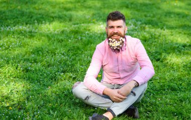 Güler yüz üzerinde sakallı Anti olmadan hayatın tadını çıkarın. Bahar Anti kavramı. Hipster papatya ile mutlu görünüyor. Grassplot, papatya çiçekleri oturur sakallı adam arka plan, kopya alanı çimen