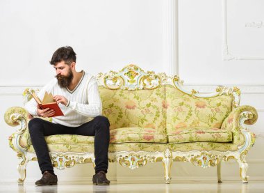 Kendi eğitim kavramı. Adam dikkat ile kitap okumak. Maço kitap okumak, eğitim konsantre yüzünde. Barok tarzı kanepe, tutar kitap, beyaz duvar arka plan sakal ve bıyık oturur adam