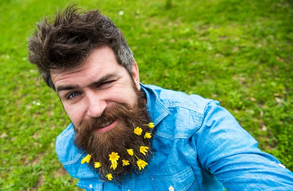 Guy with lesser celandine flowers in beard taking selfie photo. Hipster with cheerful grimace on face taking selfie photo. Man enjoys spring, green meadow background, defocused. Cheerful mood concept — Stock Photo, Image