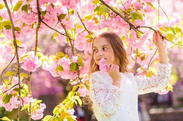Dziewczyna na uśmiechnięta twarz stojący w pobliżu sakura kwiaty, rozmyte. Pojęcie ciszy i spokoju. Słodkie dzieci cieszyć się aromatem sakura na dzień wiosny. Dziewczyna z długimi włosami odkryty, Wiśniowy kwiat, na tle — Zdjęcie stockowe