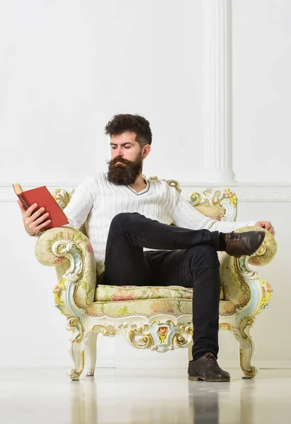 Docente intelligente sedersi sulla poltrona e legge libro, sfondo muro bianco. Scienziato, professore su faccia pensierosa gode la letteratura. L'uomo con la barba e i baffi passa il tempo libero con il libro. Concetto intelligente — Foto Stock