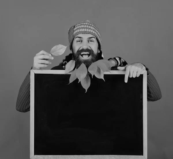 Herfst sale. Man in hat houdt blackboard en blad op groene achtergrond — Stockfoto