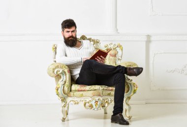 Koltuk sakal ve bıyık oturur ve okurken, beyaz duvar arka planı olan adam. Uzman, Profesör edebiyat tadını çıkarın. Maço kitap ile boş zaman harcıyor. Uzman edebiyat kavramının