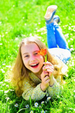 Kırmızı lale çiçek kız güler yüz tutan, aroma zevk. Çimen, grassplot arka plan üzerinde yatan kız. Gençlik ve kaygısız kavramı. Çocuk zevk çayır çiçeklerle yatarken bahar güneşli gün