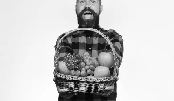 Agricultor con cara excitada presenta manzanas, uvas y arándanos. —  Fotos de Stock