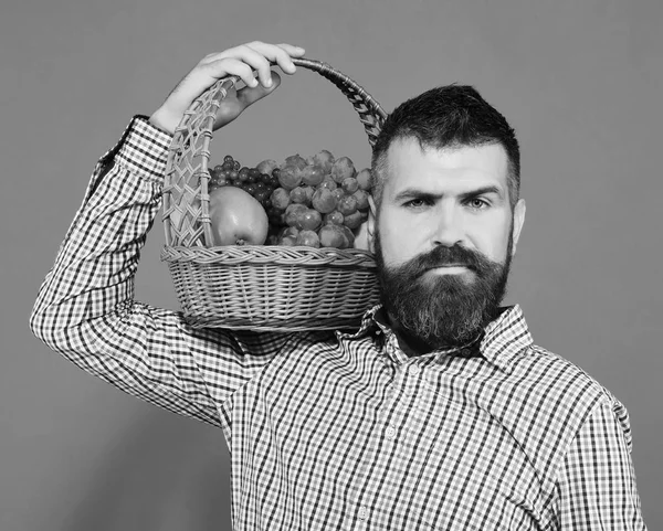 Frutas y verduras. Hombre con barba sostiene cesta con fruta en el hombro —  Fotos de Stock