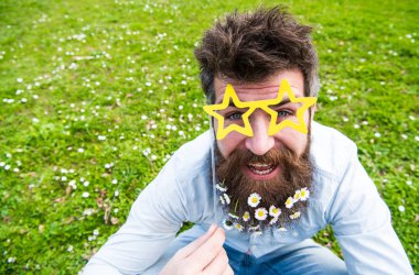 Adam güzel sakal papatya veya papatya çiçekleri ile görünüyor. Bahar kavramı. Neşeli yüzündeki sakallı hippi gözlük ile poz. Uzun Sakal ve bıyık, ufuk yeşil renkli olan adam.