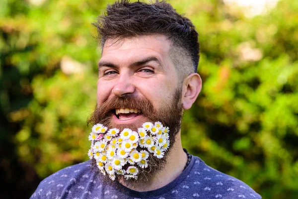 Concepto de peluquería y peinado. Hombre con barba y bigote en la cara sonriente alegre, fondo verde, desenfocado. Hombre barbudo con flores de margarita en barba. Hipster con ramo de margaritas en barba — Foto de Stock