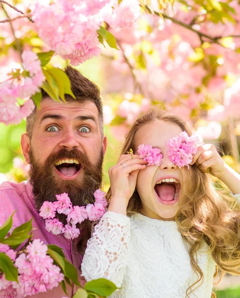 Ojciec i córka na szczęśliwy twarz grać z kwiatami jako okulary, sakura tła. Dziewczyna z tata w pobliżu sakura kwiaty na dzień wiosny. Dziecko i człowiek z przetargu różowe kwiaty w brodę. Praktyczno czas dla rodziny — Zdjęcie stockowe