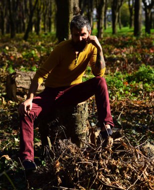Maço parkta vakit geçiriyor. Adam ciddi bir yüz ile