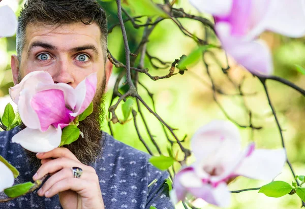 Hipster goza de aroma de flor. Homem barbudo com fresco corte de cabelo fareja flor de magnólia. Homem com barba e bigode no rosto animado perto de flores de magnólia, fundo desfocado. Conceito de perfumista — Fotografia de Stock