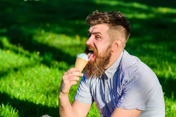 Man with long beard eats ice cream, while sits on grass. Bearded man with ice cream cone. Man with beard and mustache on happy face licks ice cream, grass on background, defocused. Delicacy concept