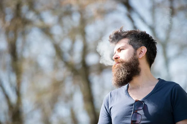 Homme avec barbe et moustache sur le visage calme, branches sur le fond, déconcentré. Concept de détente. L'homme à la longue barbe et aux nuages de fumée semble détendu. Barbu homme fume vape sur ensoleillé jour — Photo