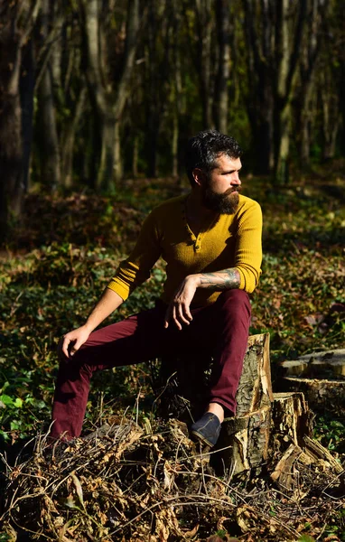 Mann mit Bart sitzt auf Baumstumpf im Wald — Stockfoto