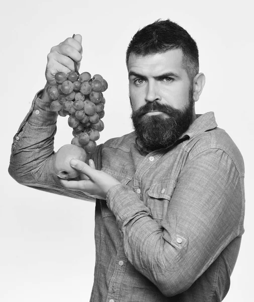 Weinbau- und Gartenkonzeptbauer zeigt seine Ernte. Winzer mit ernstem Gesicht — Stockfoto