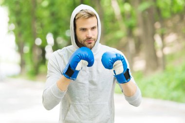 Büyük gün için antrenman. Konsantre yüzlü sporcu, spor eldivenli boks antrenmanı yapan, doğa geçmişi olan. Boksör başlığı yumruk pratiği yapıyor. Boks eldivenli sporcu boksörü eğitimi