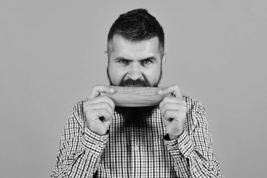 Sakallı adam sarı arka plan üzerinde izole Mısır Mısır koçanı yiyor. Tarım ve sonbahar bitkileri kavramı. Çiftçi aç yüzü ile sarı Mısır ağzına tutar.