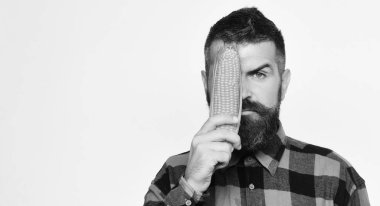 Sarı Mısır göz adam gizleme ile ciddi bir yüz ile çiftçi hasat gösterir. Sakallı adam olgun Mısır Mısır koçanı tutar