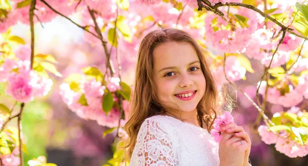 Söta barn njuta av doften av sakura vårdag. Flicka på leende ansikte står nära sakura blommor, oskärpa. Parfym och fragrance-konceptet. Tjej med långt hår utomhus, cherry blossom på bakgrund — Stockfoto