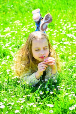 Çimen, grassplot arka plan üzerinde yatan kız. Duyarlılık kavramı. Çocuk ihale papatya çiçekleri ile çayır yalan ise bahar güneşli hava keyfini çıkarın. Papatya çiçek kız sakin yüz tutan