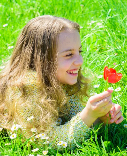 Dítě ležící na louce a vychutnejte si vůni tulipánu. Dívka s dlouhými vlasy leží na grassplot, sněhová vločka. Jarní přínos koncepce. Dívka na šťastné tváře drží červený Tulipán květ na slunečný jarní den — Stock fotografie