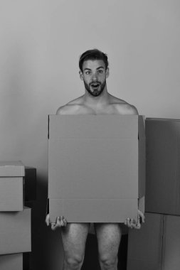 Cinsellik ve kavram olarak hareket. Maço sakallı ve sürpriz karşısında kendini kutusuyla kapsayan