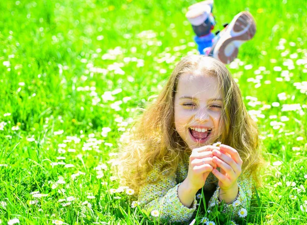 背景に草地の草の上に横たわる少女。子入札デイジーの花と草原に横たわっている間春の天候の良い日をお楽しみください。感度の概念。幸せそうな顔の女の子は、デイジーの花を保持します。 — ストック写真